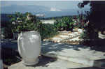 View from the house