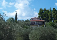 view from the house