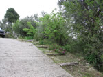 concrete  drive