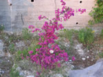 concrete retaining wall