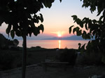 sunset from the plot
