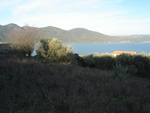 view from the house