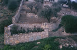 natural stone wall